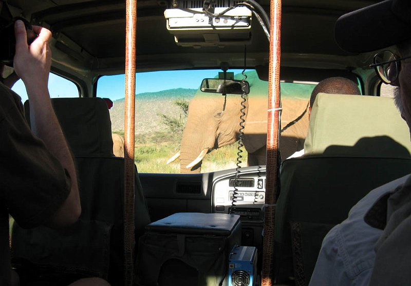 day02IMG_1981.jpg - Elephant crosses the road.  We wait.  Samburu Reserve, Kenya.