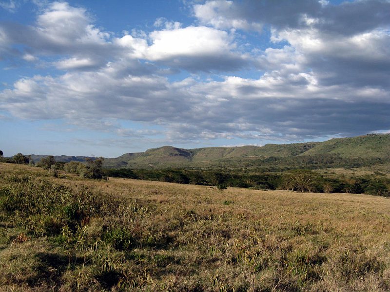 day04IMG_2295.jpg - Panorama, Kigio Conservancy, Kenya