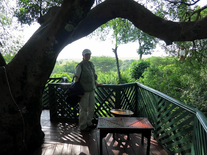 day07IMG_0699.jpg - A tree top viewing platform. Masai Mara, Kenya