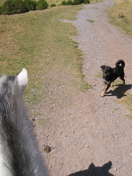 0806130017.JPG - Day 7, Friday, June 13, Cuzco.