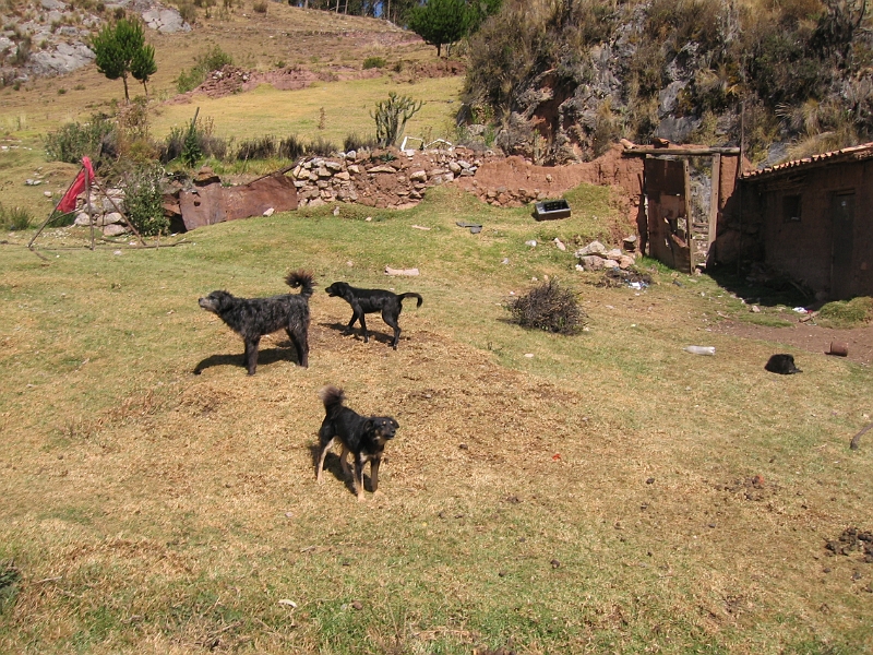 0806130018.JPG - Day 7, Friday, June 13, Cuzco.