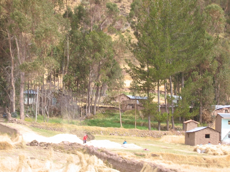 0806140015.JPG - Day 8, Saturday, June 14, enroute from Cuzco to Puna.