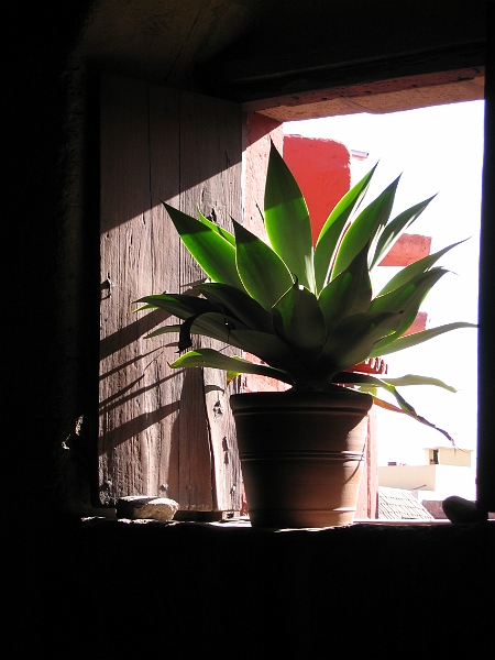 0806170038.JPG - Day 11, Tuesday, June 17, Santa Catalina Convent, Arequipa.