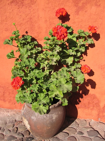 0806170040.JPG - Day 11, Tuesday, June 17, Santa Catalina Convent, Arequipa.