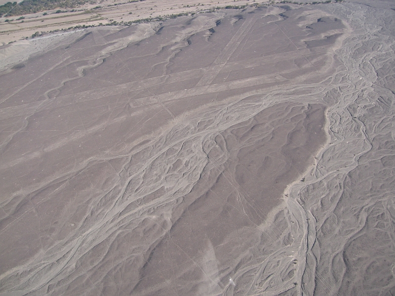 0806190010.JPG - Day 13, Thursday, June 19, Nazca Lines.